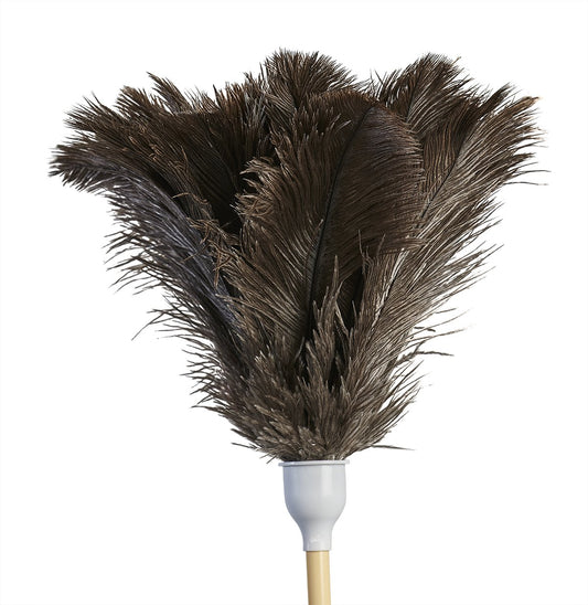 M2å¨ Ostrich Feather Duster