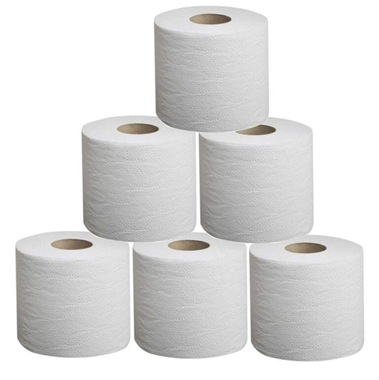 Unwrapped Toilet Paper 48 x #420 Sheets/CS
